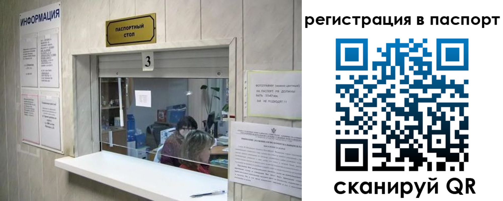 прописка поиск в Шебекино